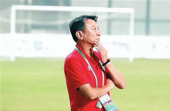 精品久久久久久国产免费了