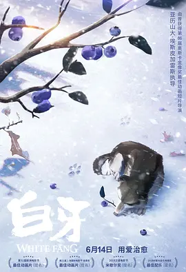 久久少妇精品