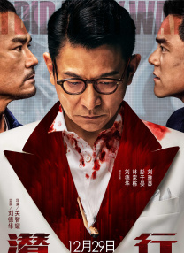 久久免费播放视频